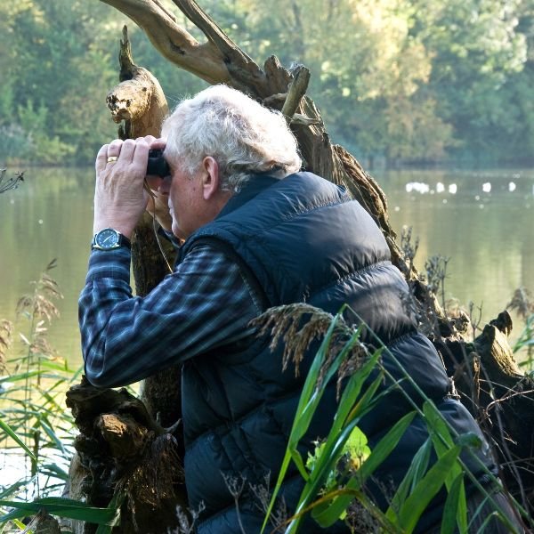 Turismo ornitológico y observación de aves cerca de Trujillo