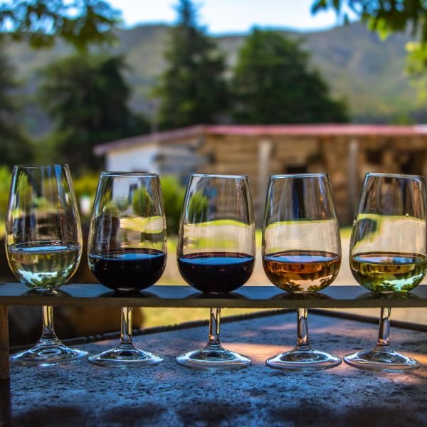Vinos Ribera del Guadiana para disfrutar en una escapada gastronómica a Trujillo